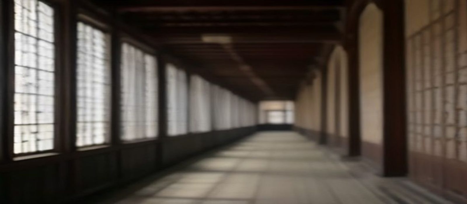 番号库团队在现代化办公室内，多人围坐工作台前专注地浏览数据库界面，背景是大幅显示器展示番号检索系统，整体氛围沉稳专业